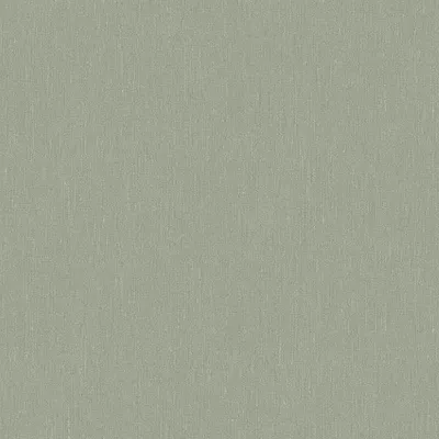 Obrázek produktu pro Borastapeter Tapeta zelená - 660472 - 53 cm x 10,05 m