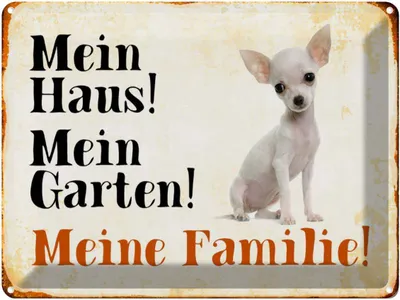 Produktbild von vianmo Blechschild 30x40 cm Hund Chihuahua mein Haus Garten Familie