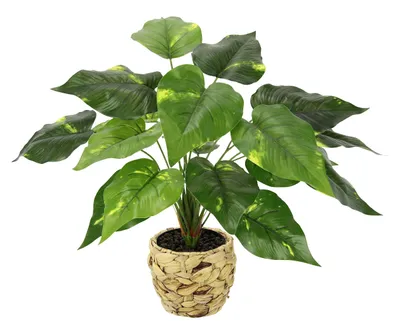 Immagine prodotto di Pianta artificiale Pothos in vaso: composizione decorativa verde
