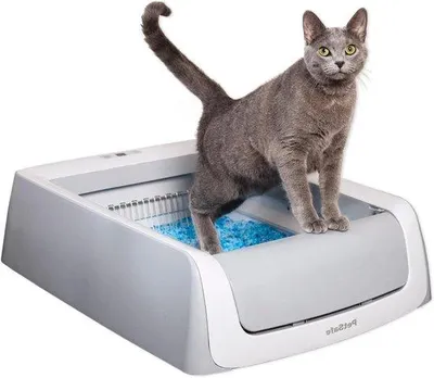 Immagine prodotto di Cassa per gatti autopulente automatica con vaschetta usa e getta e graniglia cristallina, igienica, bianca