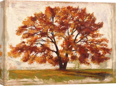 Zdjęcie produktu dla Obraz na płótnie - Leonardo Bacci, Drzewo o poranku - 80x60 cm