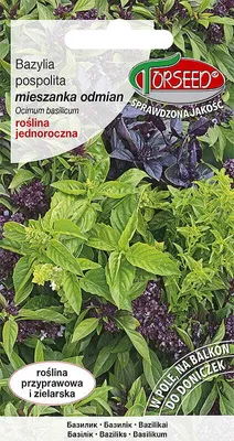 Produktbild von Basilikum-Mischung, Ocinum basilicum 0.5g - Torseed