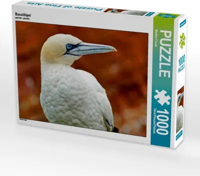 Produktbild von Calvendo Basstölpel 1000 Teile Puzzle quer 640x480mm, Fornal Martina; 7333212