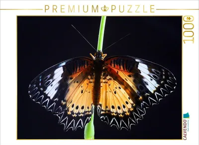 Produktbild von CALVENDO Puzzle Bortenfalter (Cethosia biblis) 1000 Teile Puzzle quer | 1000 Teile Lege-Größe 64x48cm Foto-Puzzle für glückliche Stunden
