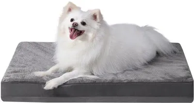 Image de Lit orthopédique pour chiens de taille moyenne, coussin lavable 75 x 47 cm, lits pour chiens avec housse amovible, tapis réversible, gris foncé