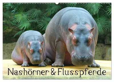 Produktbild von Nashörner & Flusspferde (Wandkalender 2027 DIN A2 quer), CALVENDO Monatskalender