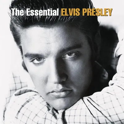 Zdjęcie produktu dla Elvis Presley - Essential Elvis Presley (2 LP)