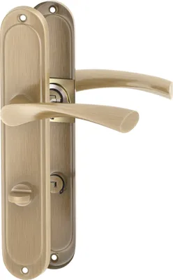 A pair of bronze door handles with escutcheons on a white background.