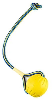 Produktbild von Starmark Swing 'N Fling Durafoam Fetch Bal Aan Koord