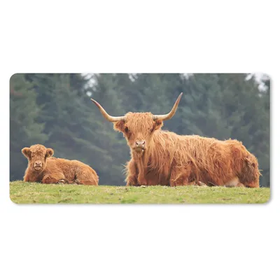 Produktbild von MuchoWow® Schreibtischunterlage Schottische Highlander - Gras - Wald 80x40 cm - XXL Mauspad - Gaming Mauspad