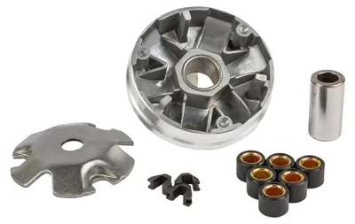 Imagen del producto de Variador MOTOFORCE para motores Peugeot verticales y horizontales