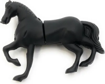 Produktbild von Onwomania Pferd in Schwarz Reiten Funny USB Stick 8 GB USB 2.0