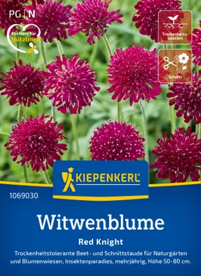 Produktbild von Kiepenkerl Witwenblumensamen Red Knight Knautia macedonica 15 Pflanzen