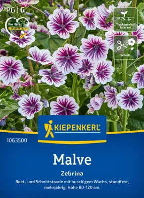 Artikelbild 2 von 'Malve Zebrina' aus der Kategorie Malvensamen