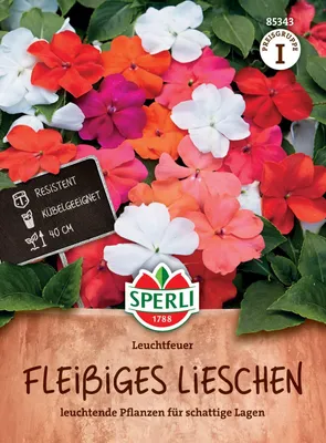 Artikelbild 2 von 'Fleißiges Lieschen Leuchtfeuer' aus der Kategorie Fleißiges Lieschen Samen