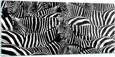 Produktbild von Bilder auf glas - Tiere Zebra Streifen - 120x50cm - Glasbilder - Wandbilder - Kunstdruck - zum Aufhängen bereit - Wanddekoration aus Glas - Glas Bilder - Wandbild auf Glas - Einteilig - GAB120x50-0340