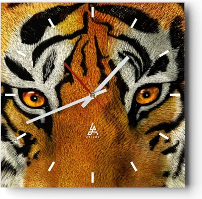 Produktbild von Wanduhr - Quadrat - Glasuhr - Tiger Tiere Natur Safari - 30x30cm - Schleichendes Uhrwerk - Lautlos - zum Aufhängen bereit - Dekoration Modern - Wanddekoration aus Glas - C3AC30x30-1549