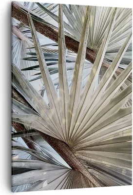 Produktbild von Bild auf Leinwand - Leinwandbild - Einteilig - Blatt Palme Natur - 50x70cm - Wand Bild - Wanddeko - Wandbilder - Leinwanddruck - Kunstdruck - Wanddekoration - Leinwand bilder - Wandbild - PA50x70-5056
