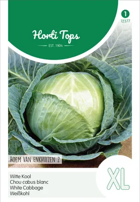 Image de Chou blanc Gloire d'Enkhuizen | Graines de chou blanc de Hortitops