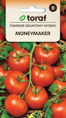 Zdjęcie produktu dla Pomidor gruntowy wysoki MONEYMAKER NAsiona 347 Toraf