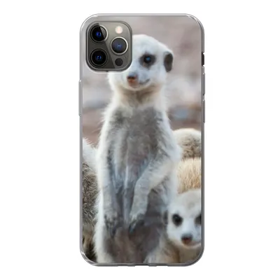 Produktbild von MuchoWow® Handyhülle Schutzhülle Hülle für iPhone 13 Pro Max Neugierige Erdmännchen Silikon Softcase Handy Hülle - Mobiltelefon