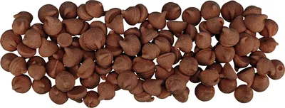 Produktbild von Trixie Choco Drops Hundesnack 75 g – theobrominfrei & ohne Kakao – mit Vitaminen - 31611