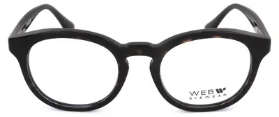 Produktbild von Web Sonnenbrille WE5443 056 50 21 150