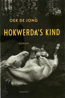 Immagine prodotto di Il figlio di Hokwerda