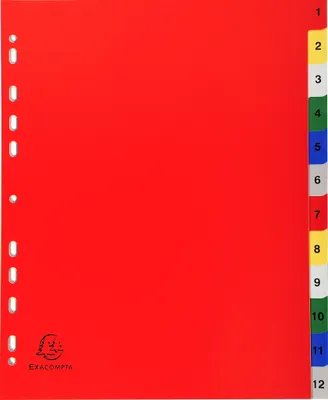 Image de Exacompta 20x Intercalaires imprimés PP 12 pos A4 Maxi Assorties vives 2512E
