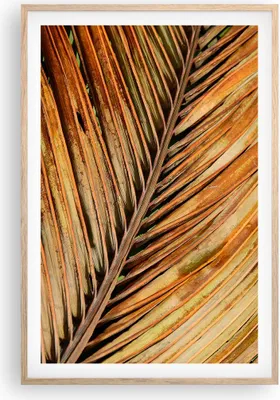 Produktbild von Gerahmtes Poster - Rahmen in heller Eiche - Orange Blatt Tropisch - 61x91,5 cm - Wand Bild - Wanddeko - Wandbilder - Kunstposter - Wandposter - Bilderrahmen - Bilder - Kunstdruck - P2NPA61x91-4876
