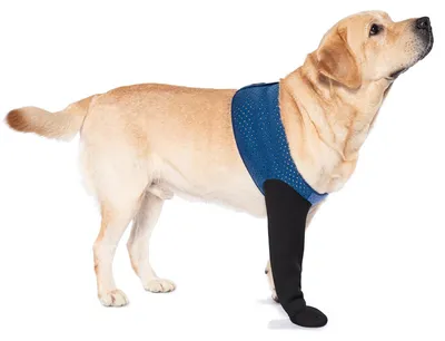 Produktbild von Hundesocken zur Vorbeugung von Lecken