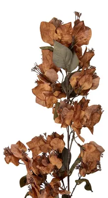 Produktbild von Clayre & Eef Kunstblume 101 cm Braun Kunststoff