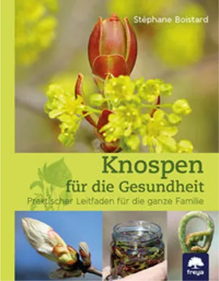 Produktbild von Knospen für die Gesundheit