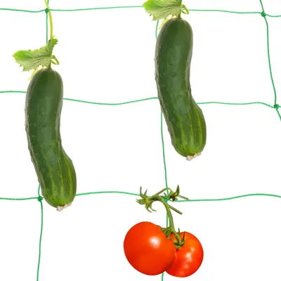Obrázok produktu pre Podporná sieť pre popínavé rastliny, 2 x 3 metre - sieť z polyetylénu