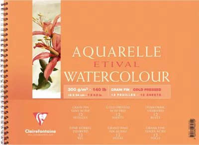 Produktbild von Clairefontaine 5x Etival Aquarellpapier Block, 12 Bl 300g, 18x24cm 96070C