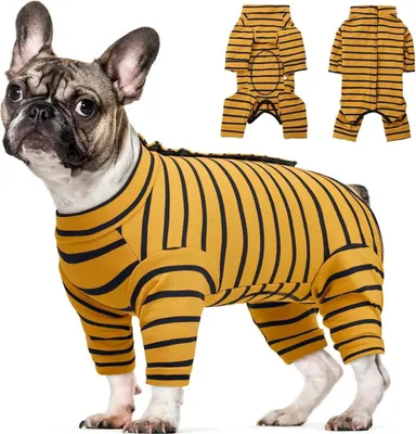 Immagine prodotto di Corpo per cani Kuoser dopo Op per cani/gatti di piccola e media taglia Giallo L