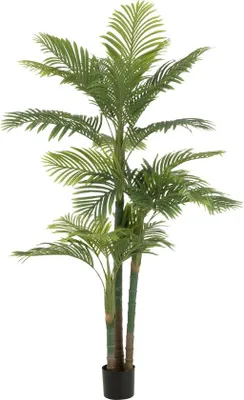 Image de Palmier Areca en plastique, pot vert