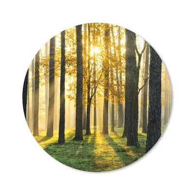 Produktbild von MuchoWow® Mauspad Mousepad Wald - Sonne - Bäume - Gras - Landschaft - Natur 50x50 cm - Mousepads - Maus Mat - Pad - Mausunterlage - Vinyl