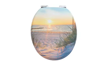 A toilet seat with a beach sunset scene printed on it.