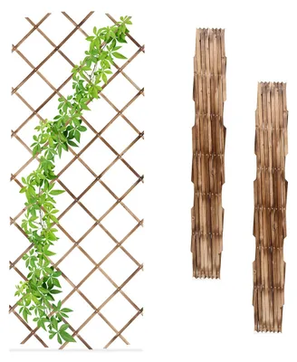 Image de Ensemble de 3 étagères en bois pour plantes grimpantes, dimensions 180 x 90 cm