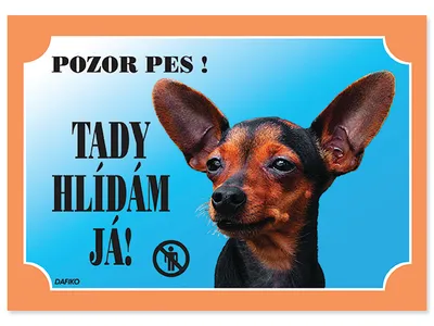 Obrázek produktu pro Tabulka Tady hlídám! Krysařík 1ks