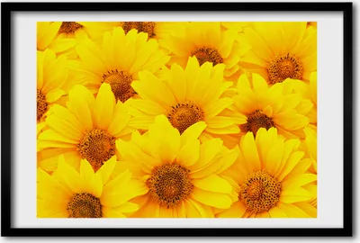 Produktbild von Bild 60x40 MDF-Rahmen, Wandkunst Sunflowers