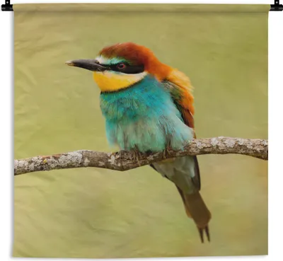 Produktbild von MuchoWow® Wandteppich Wandbehang Vogel - Bienenfresser - Tiere 90x90 cm Tapisserie Dekoration Wandtuch - Wandaufhänger
