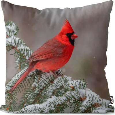 Produktbild von VOID Kardinal Vogel Natur Kissenbezug Kissenhülle Sofakissen Kissen Deko Outdoor-Kissen Dekokissen