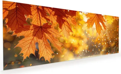 Produktbild von Küchenrückwand Spritzschutz Glas mit Motiv Herbstblätter 40 x 40 cm
