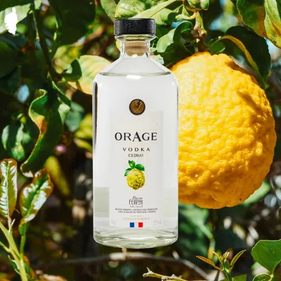Produktbild von Ferroni Ð Vodka Orage CŽdrat de Corse IGP Ð 42¡ - 70cL