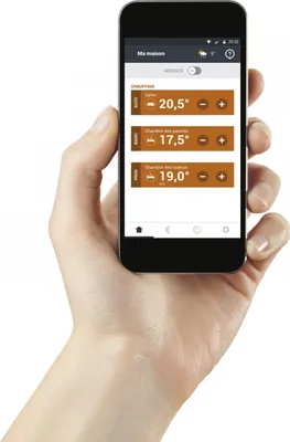 Image de Interface Radio Io-homecontrol Cosytouch - Atlantic