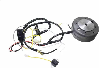 Produktbild von Zündschalter Magneto Stator Jawa 350 12V Kpl. Sc