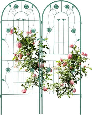 Image de Plantes grimpantes set de 2 - 150 x 50 cm - autoportant - plantes grimpantes