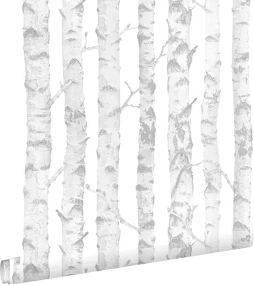 Zdjęcie produktu dla ESTAhome Tapeta pnie brzozy srebrnymIbiałym 53 cm x 10.05 m